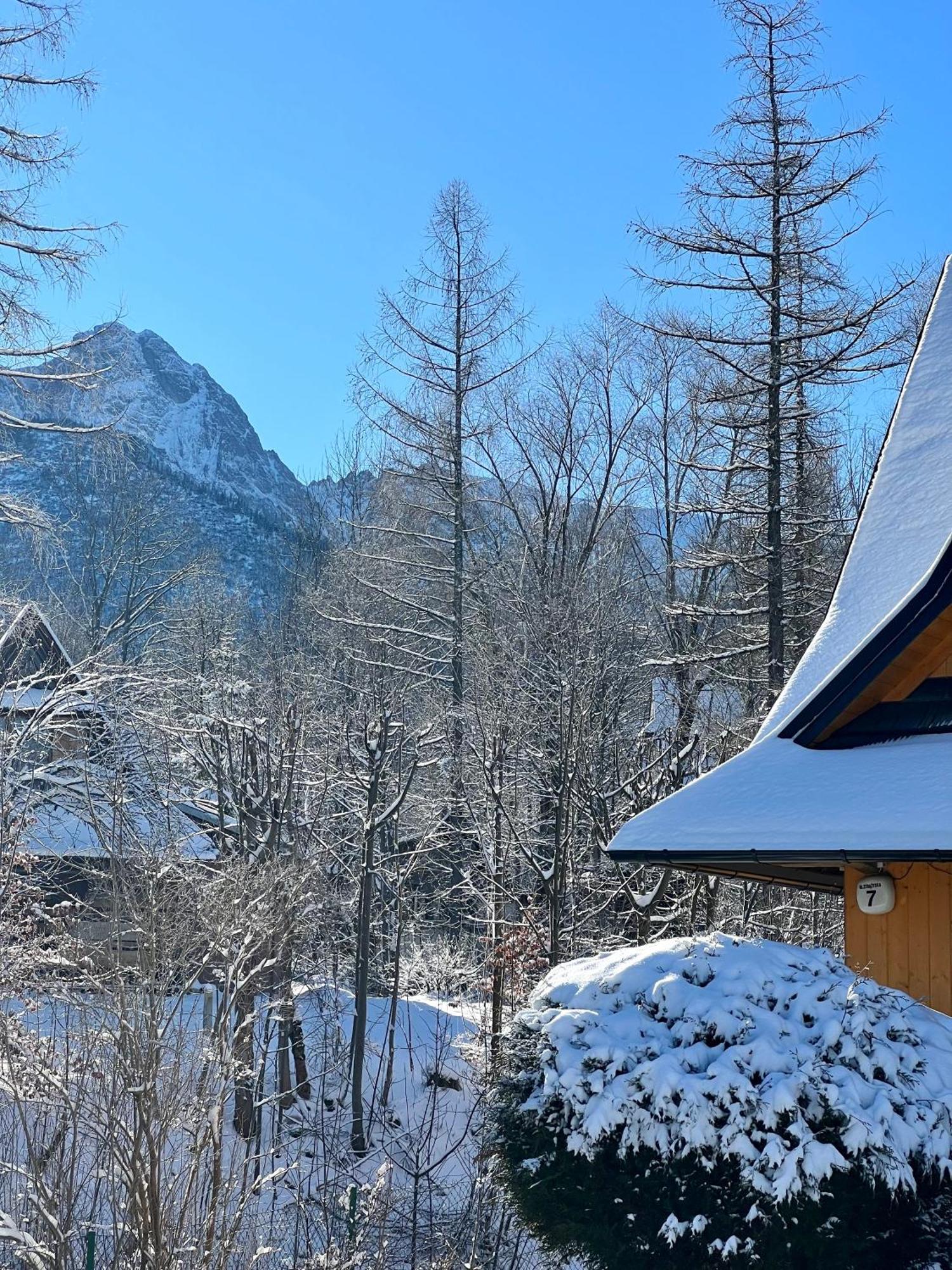 Apartament Strazyska 7 Zakopane Zewnętrze zdjęcie
